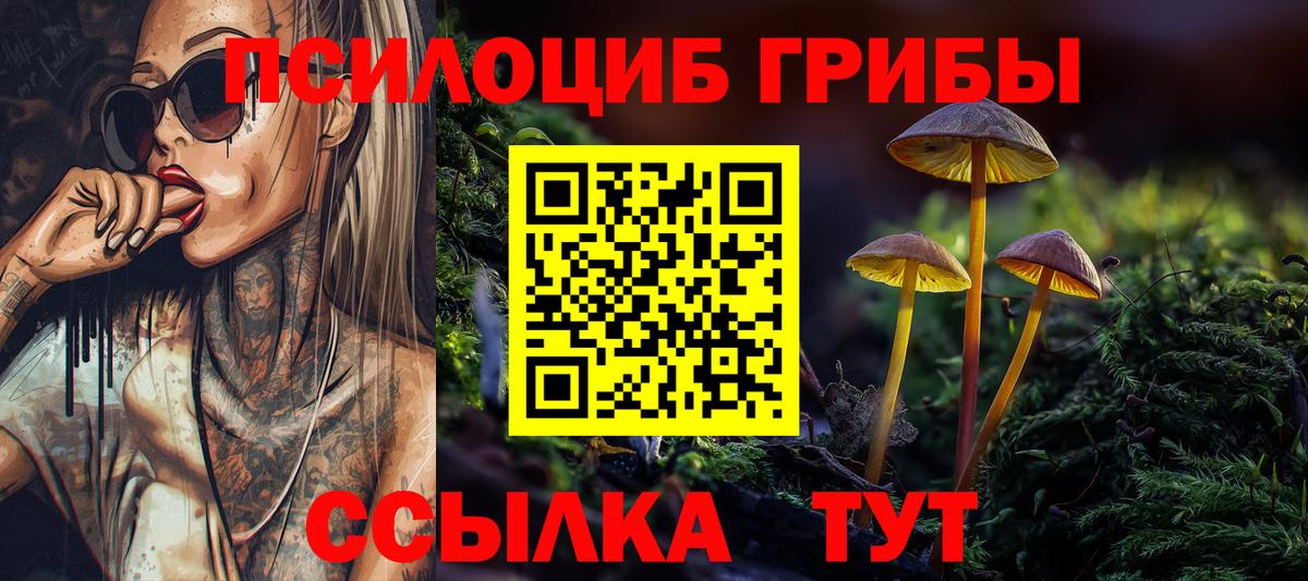 Большой Камень  Псилоцибиновые грибы мицелий  Вход с VPN  Галлюциногенные грибы мухоморы 
